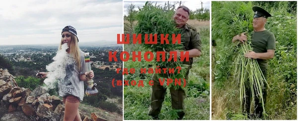 спайс Инсар