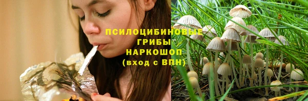 спайс Инсар